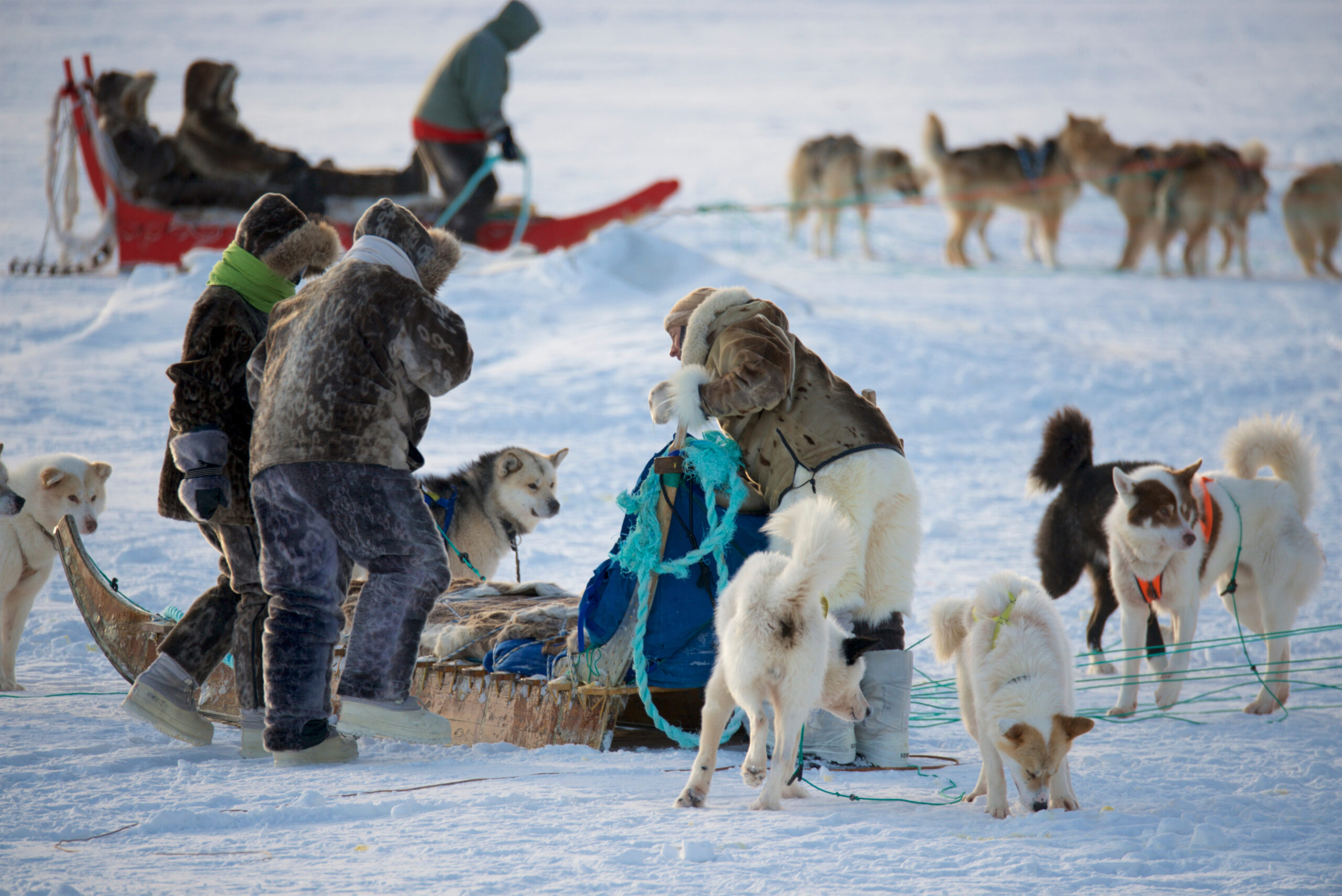 People wearing seal skin as clothes, picture by Adam Lyberth / Visit Greenland.